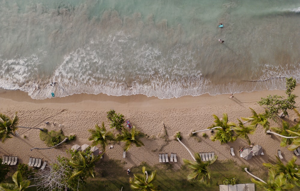 an aerial view of a beach with palm trees