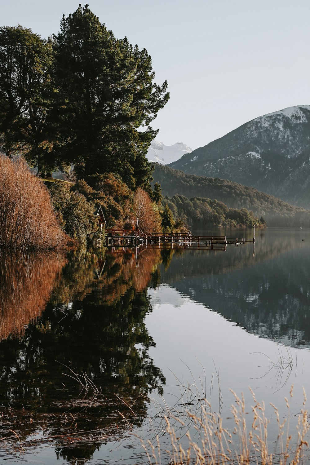 un cuerpo de agua rodeado de árboles y montañas