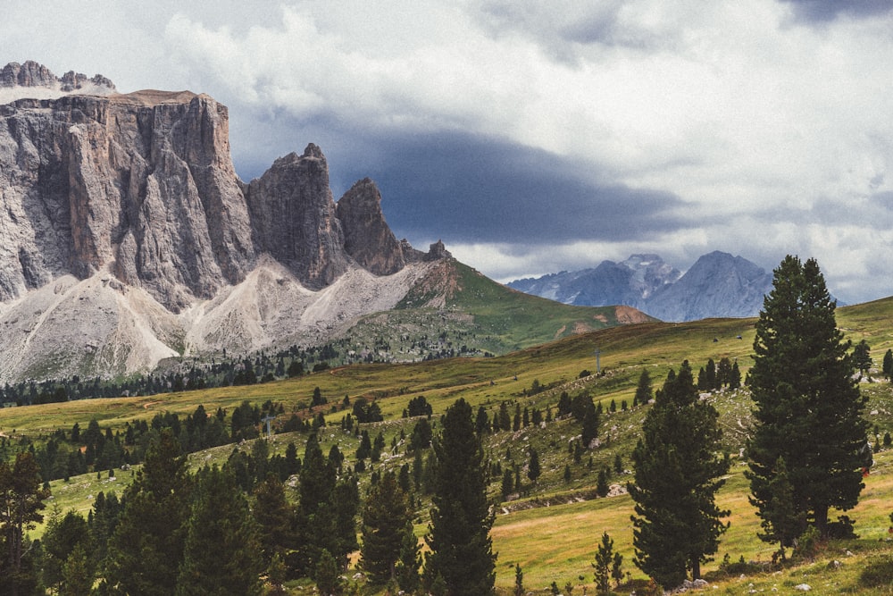 a view of a mountain range with trees in the foreground