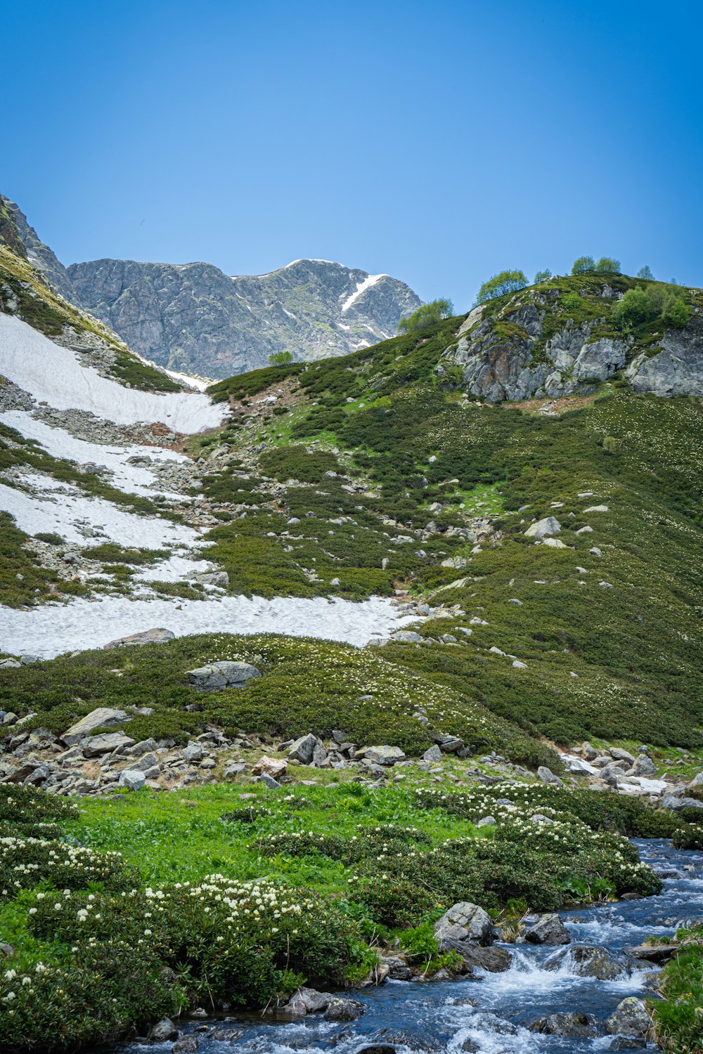 a stream running through a lush green hillside