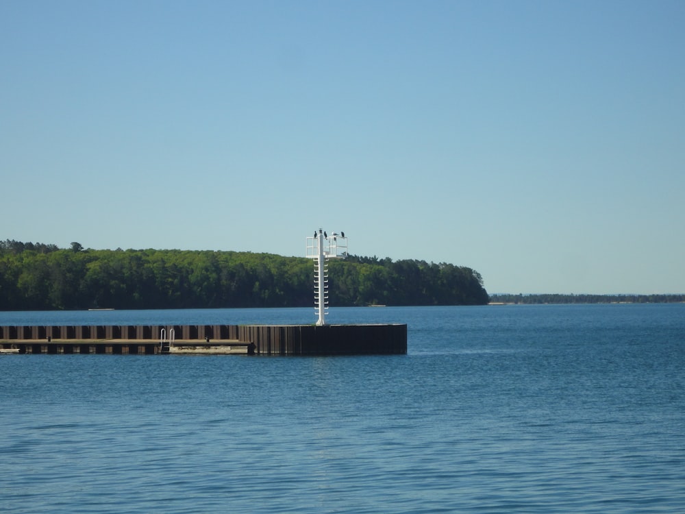 a large body of water surrounded by a forest