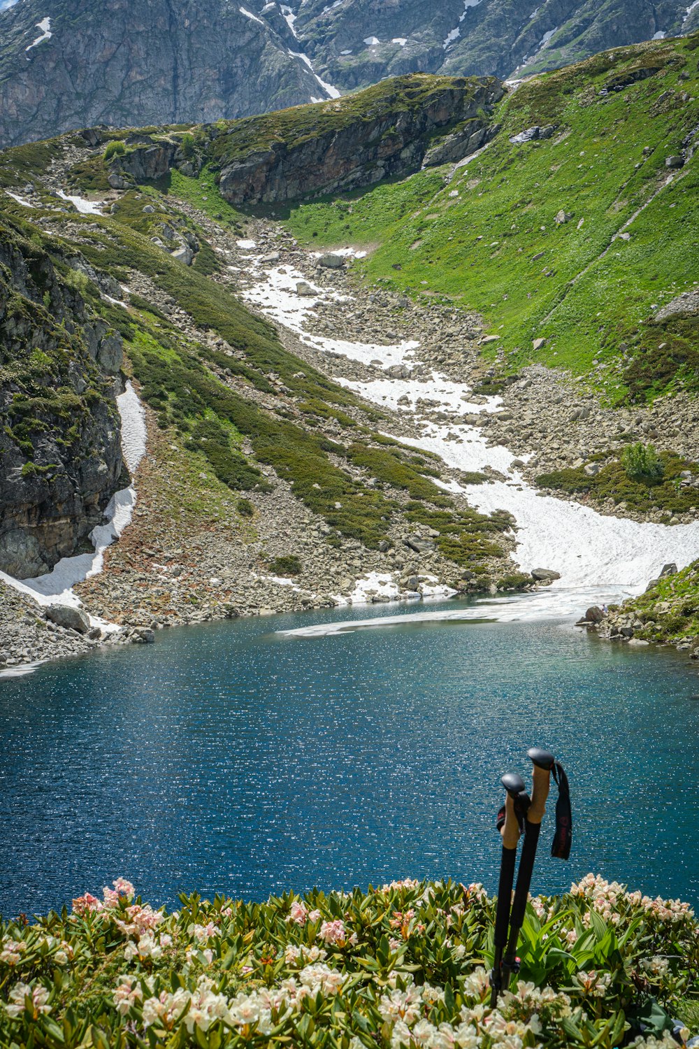 Blick auf einen Bergsee mit Blumen im Vordergrund