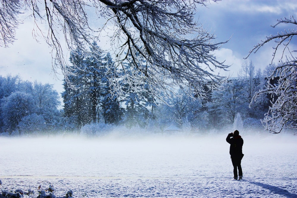 a person standing in the snow near a tree