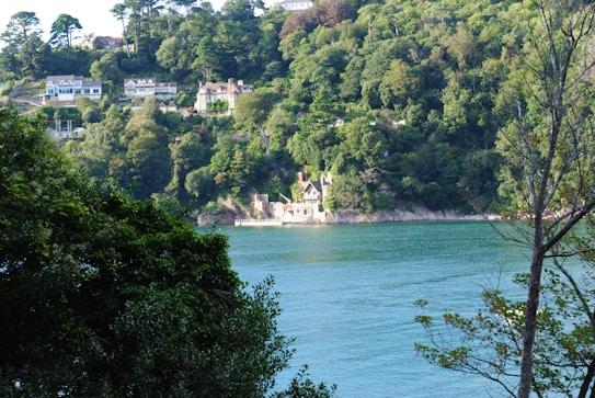 A serene view of a river bordered by lush green forests and residential houses perched on a hill. The water is calm and reflects the greenery of the surrounding vegetation. Several houses are visible atop the hill, showcasing a blend of natural tranquility and human habitation.
