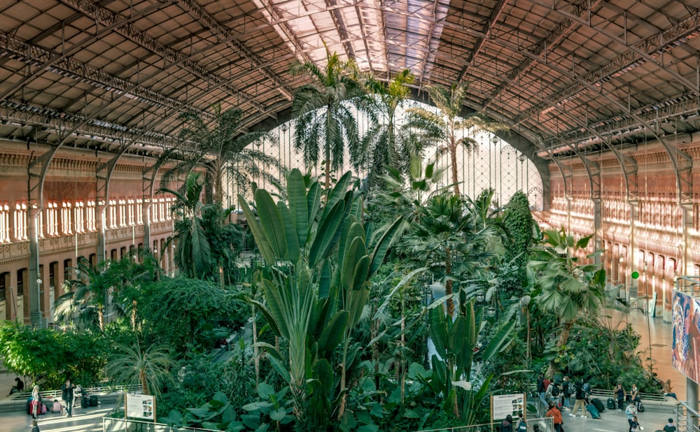 a large building with lots of plants inside of it