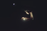 A young person is illuminated by a single light source, using a digital device in a dark environment. The concentrated light highlights their face and hands, creating a strong contrast against the surrounding darkness.