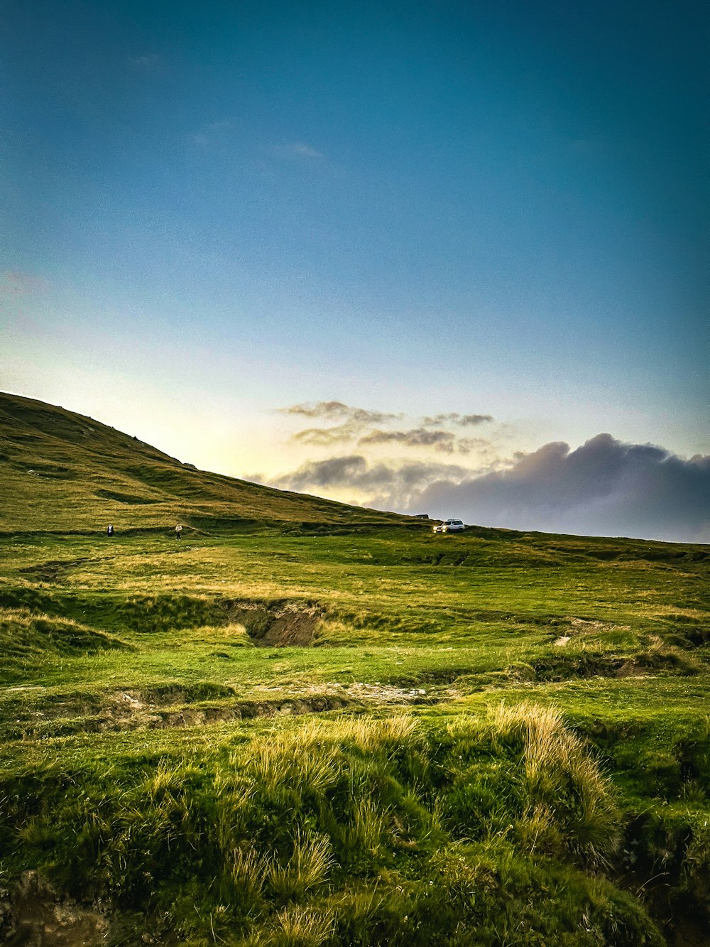 a grassy field with a hill in the background