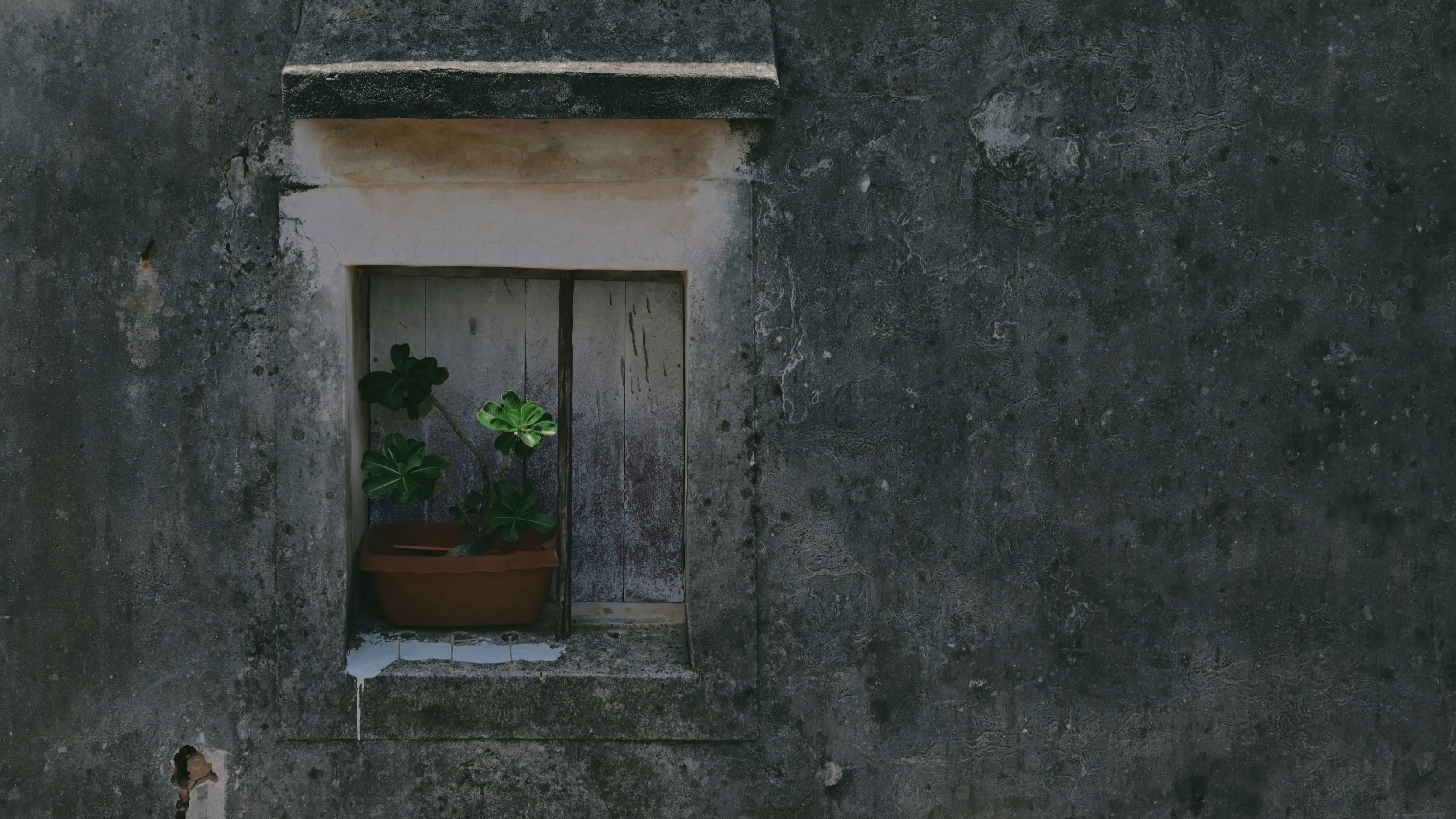 Photo by wangbinghua