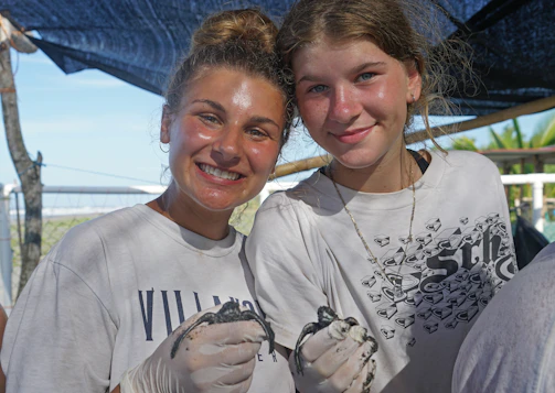 A group of volunteers releasing baby sea turtles on Batu Hiu beach at sunset.