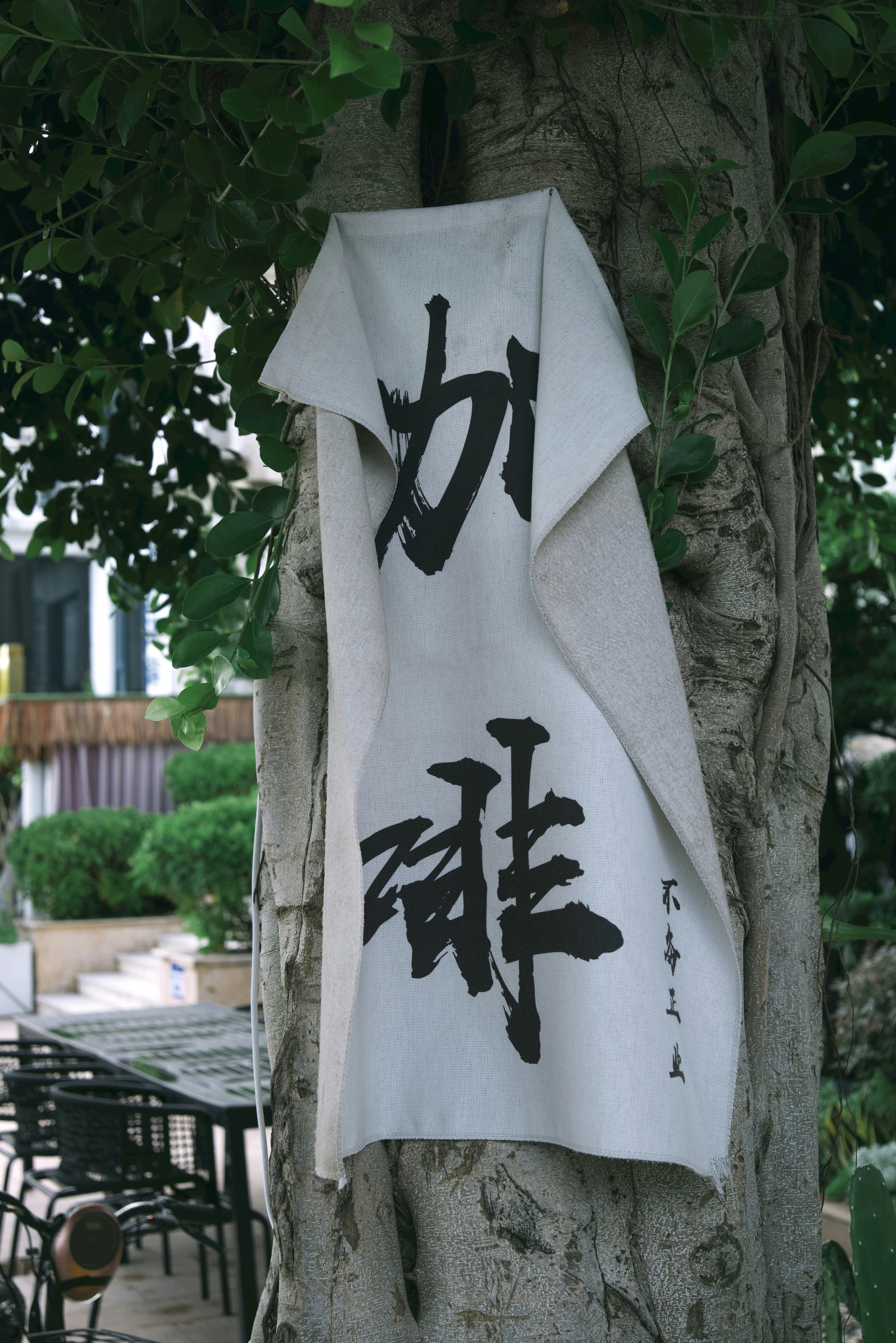 Photo by wangbinghua