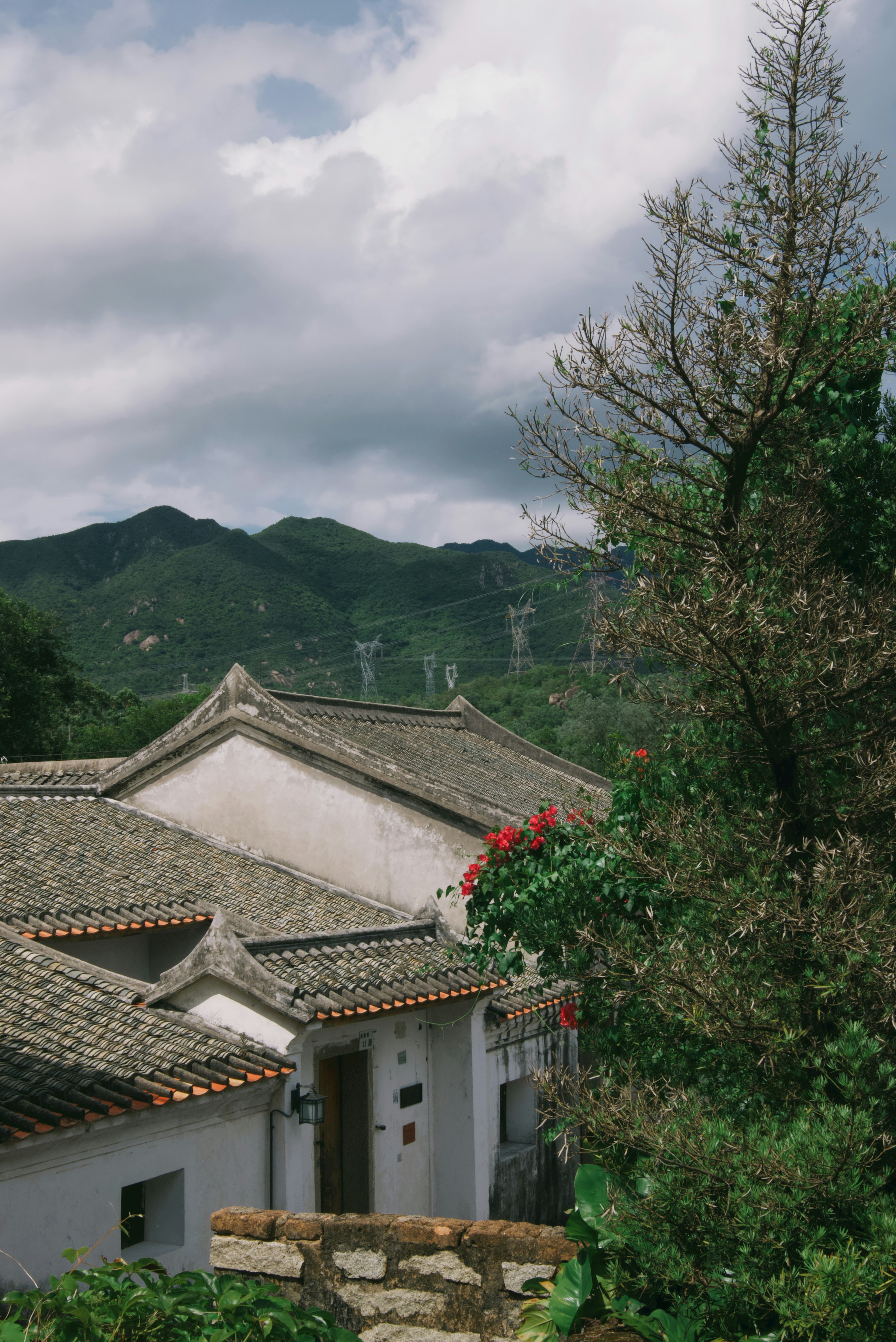 Photo by wangbinghua