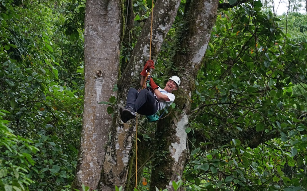 a man on a rope in the middle of a forest