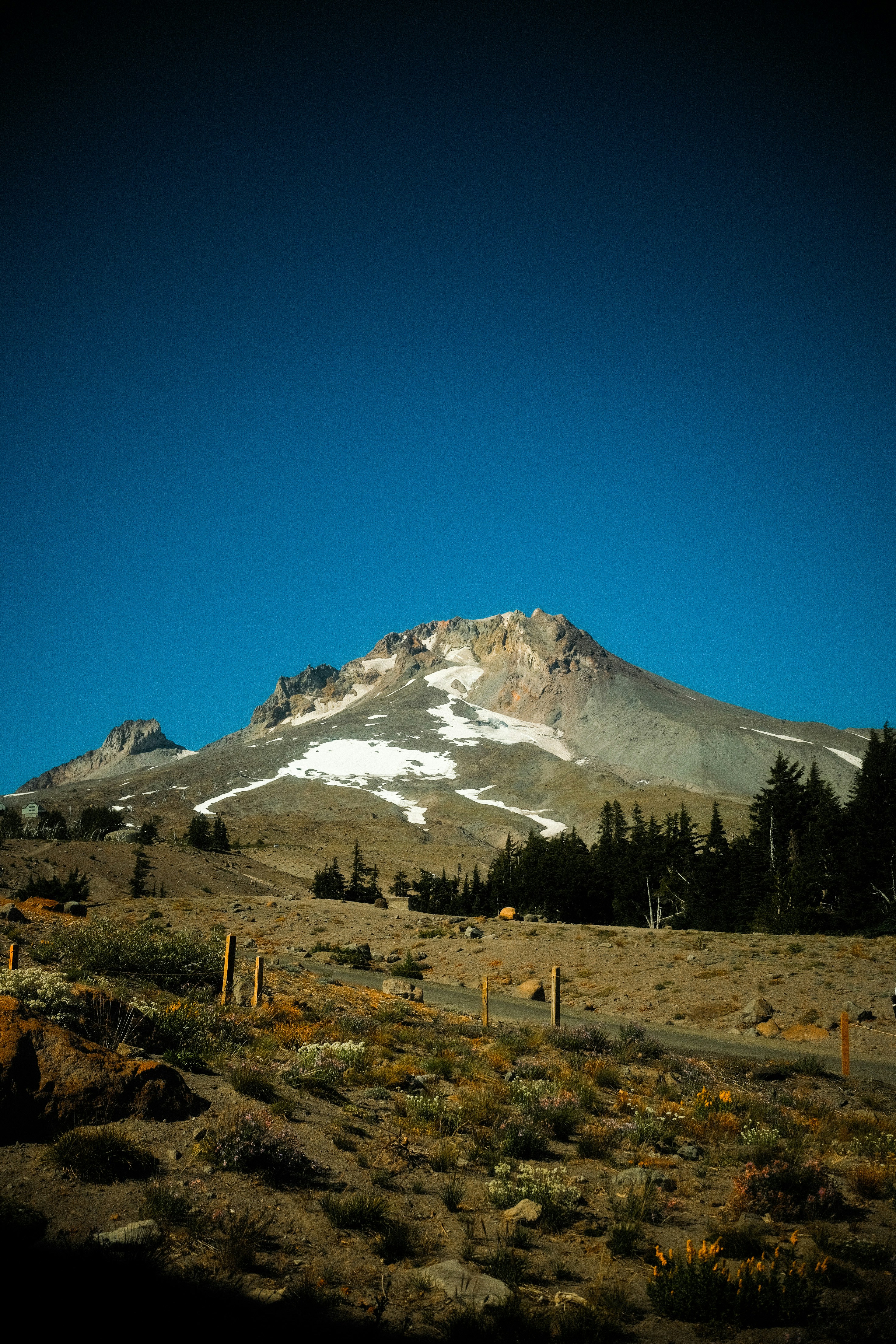 Photo by david_moorhouse