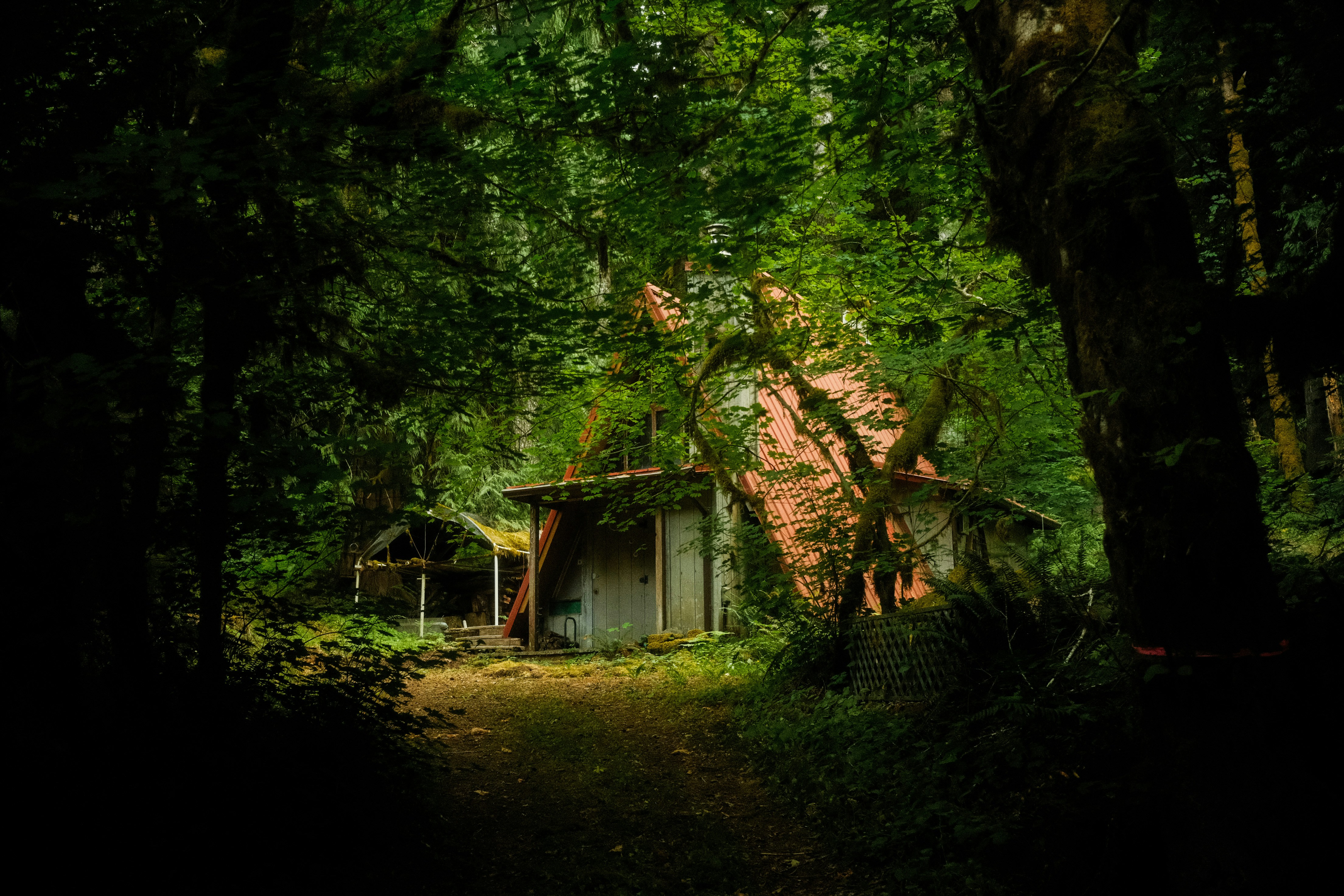 Photo by david_moorhouse