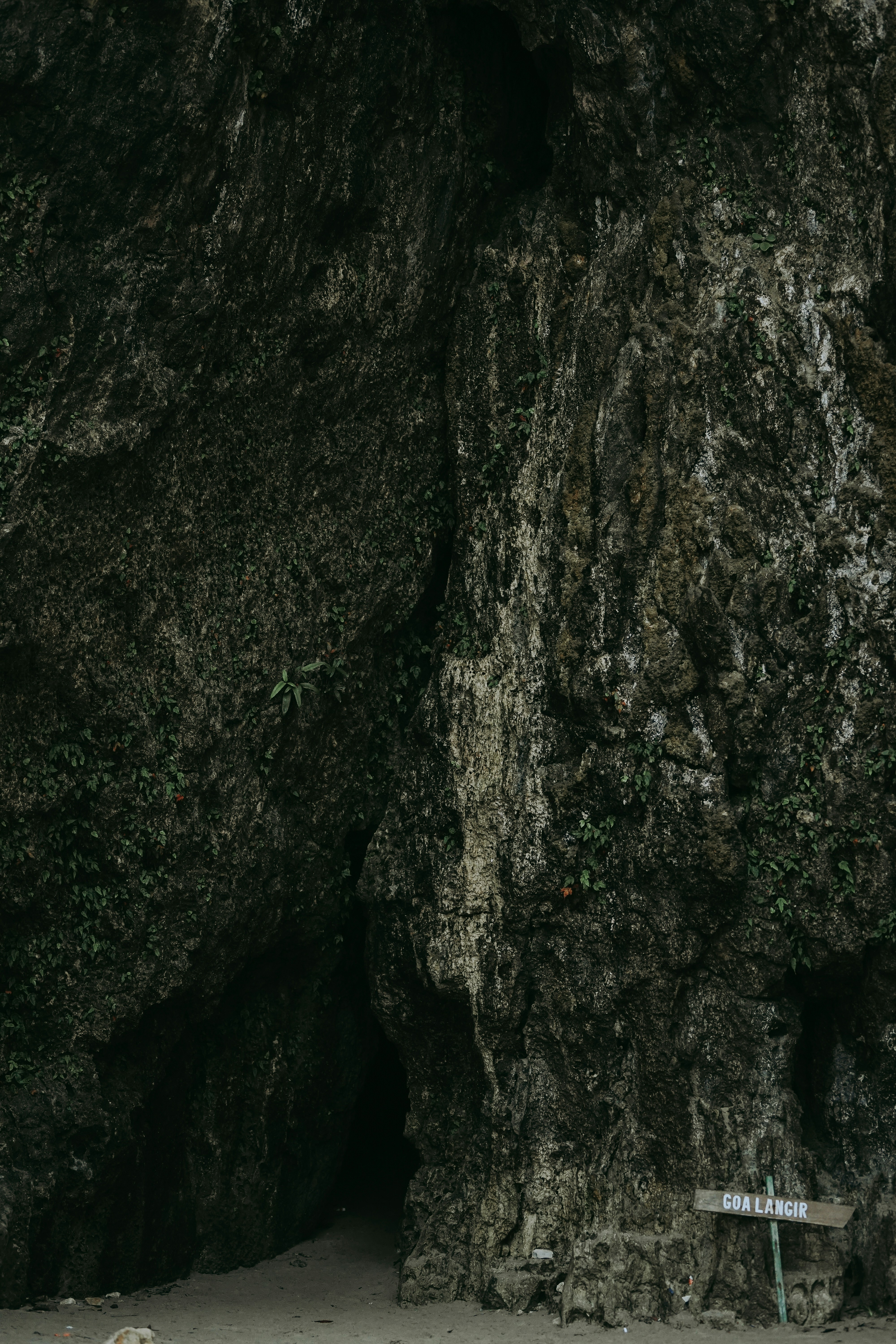 Photo by teukufaza_28