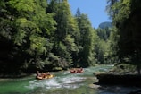 Nine people are rafting on inflatable boats down a clear, rushing river surrounded by lush green forest and towering trees. Sunlight filters through the canopy, highlighting the vibrant greenery and creating dramatic shadows on the water.