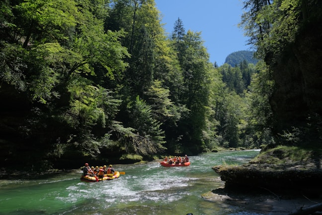 Nine people are rafting on inflatable boats down a clear, rushing river surrounded by lush green forest and towering trees. Sunlight filters through the canopy, highlighting the vibrant greenery and creating dramatic shadows on the water.