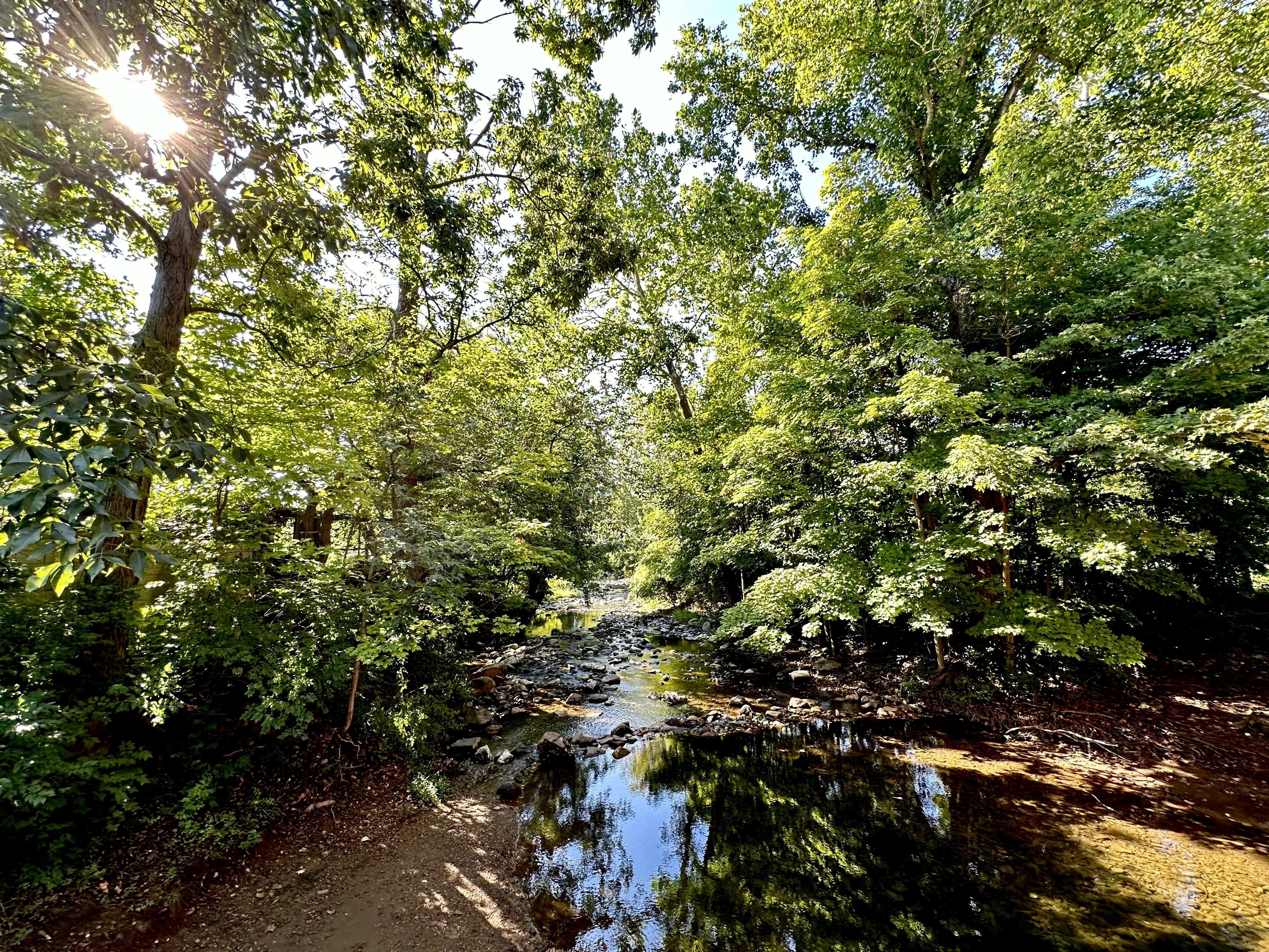 Photo by danaisa1999