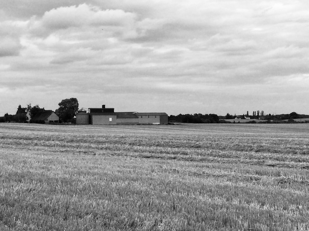 a black and white photo of a farm