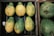 A wooden crate containing six partially ripe papayas with a mix of green and yellow skin arranged neatly. Adjacent to this crate is another box with two large green soursops featuring a bumpy texture.