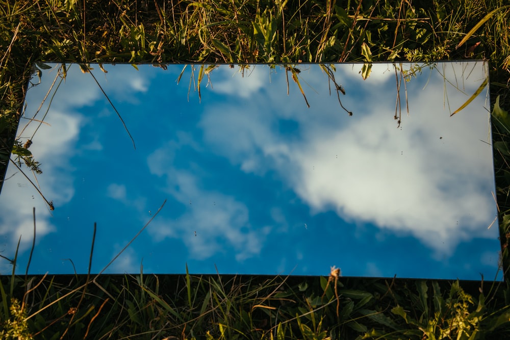a picture of a blue sky and clouds in the grass