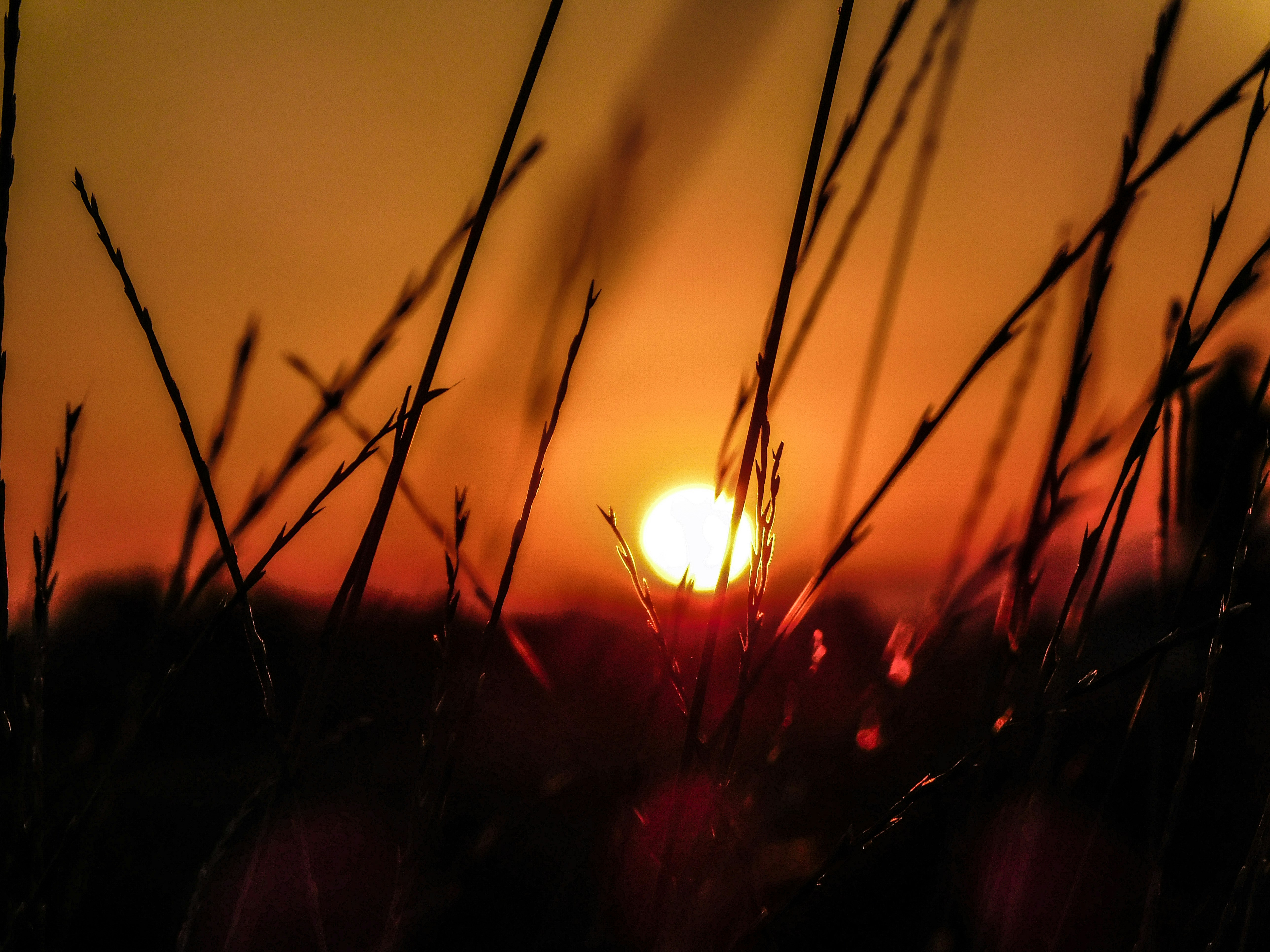 Photo by prphotography262