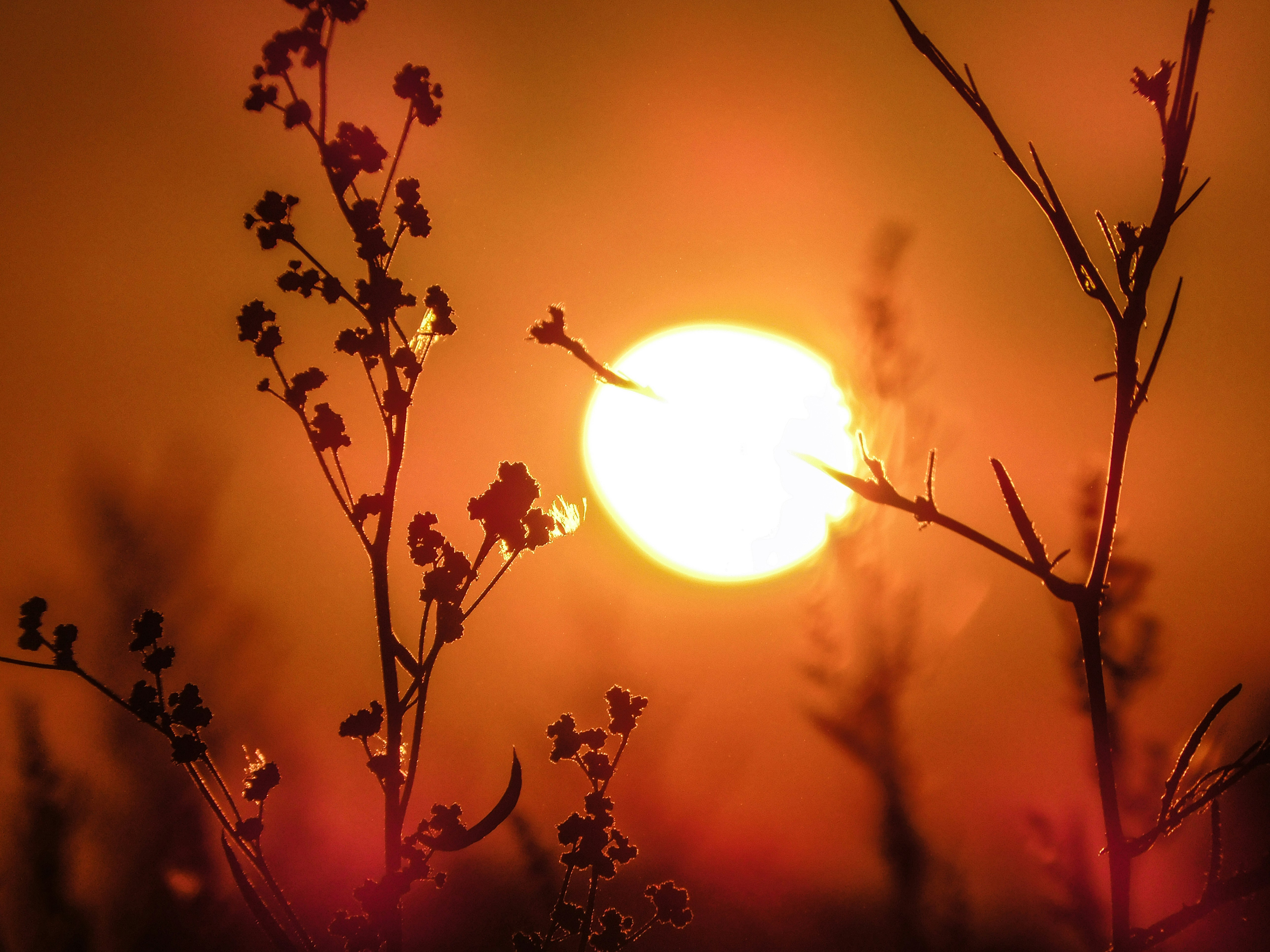 Photo by prphotography262