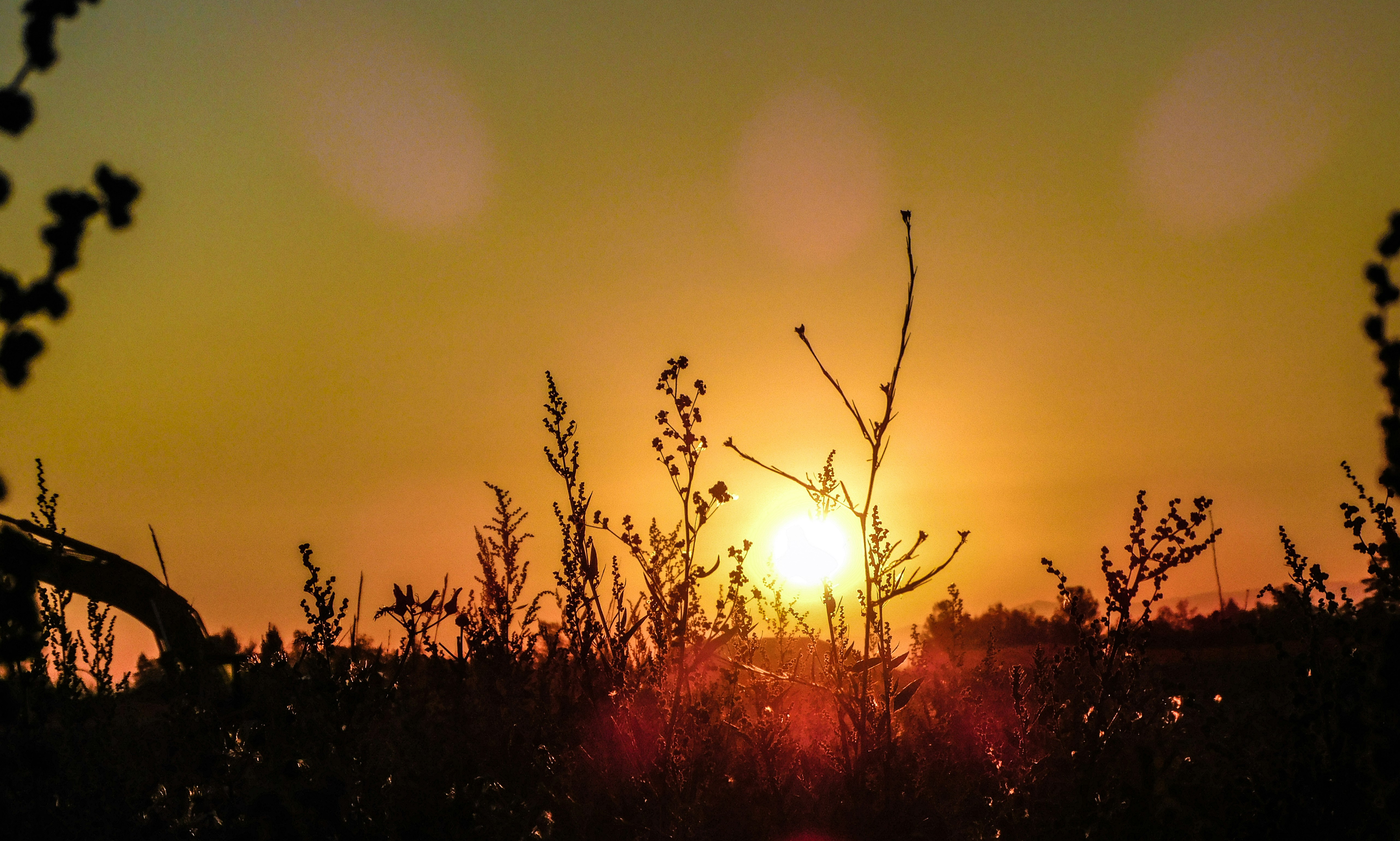 Photo by prphotography262