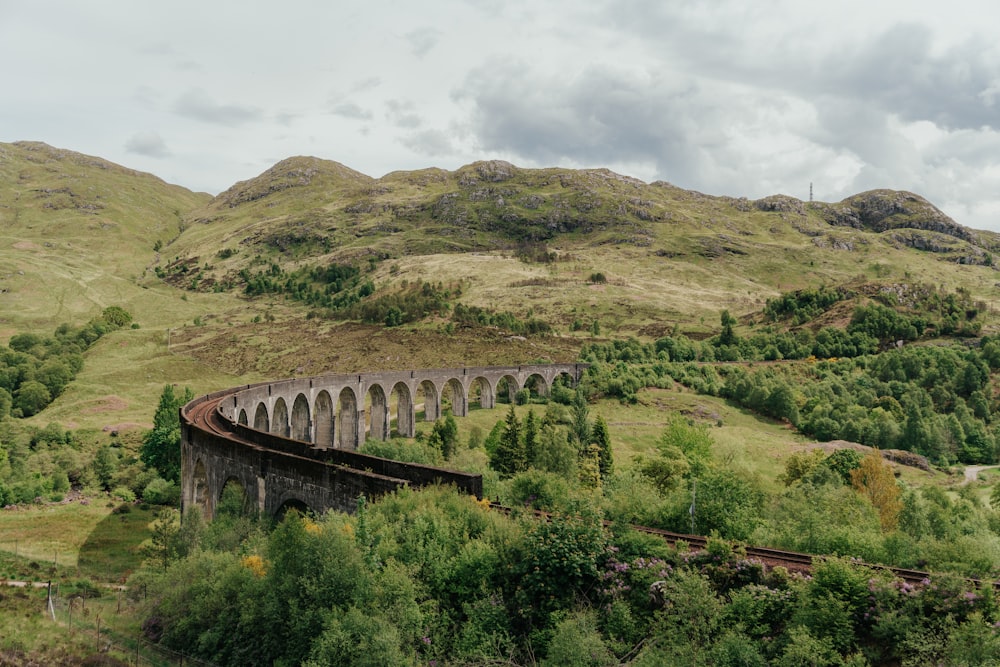 a train traveling through a lush green countryside