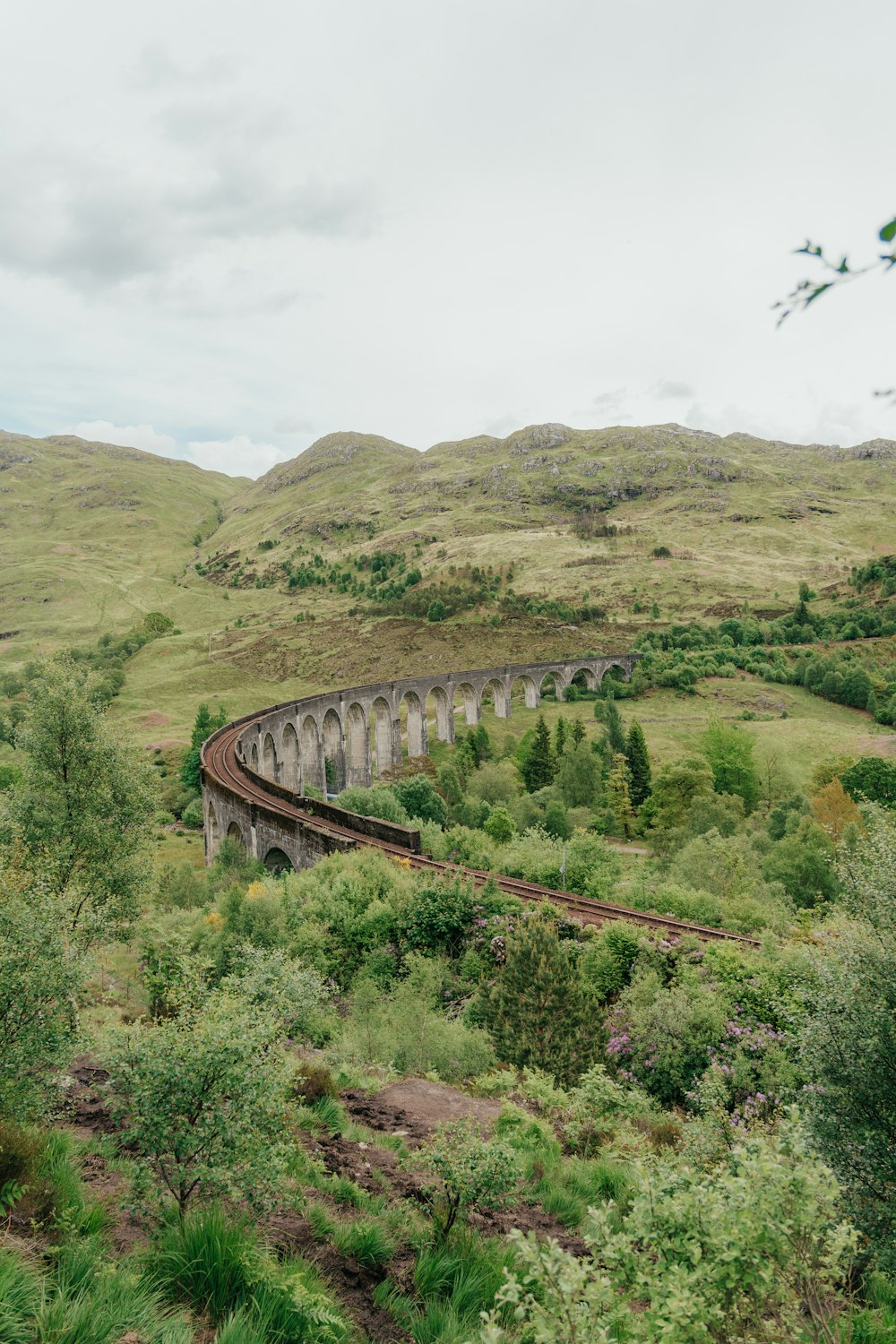 a train traveling through a lush green countryside