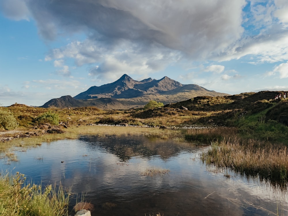 a small pond in a grassy field with mountains in the background