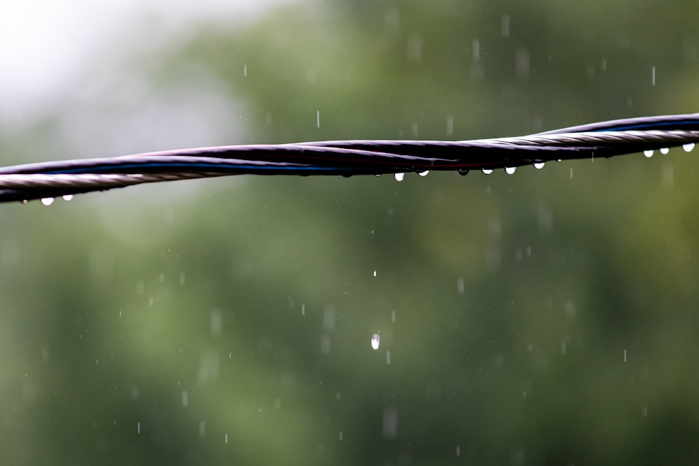 a close up of a wire with water drops on it