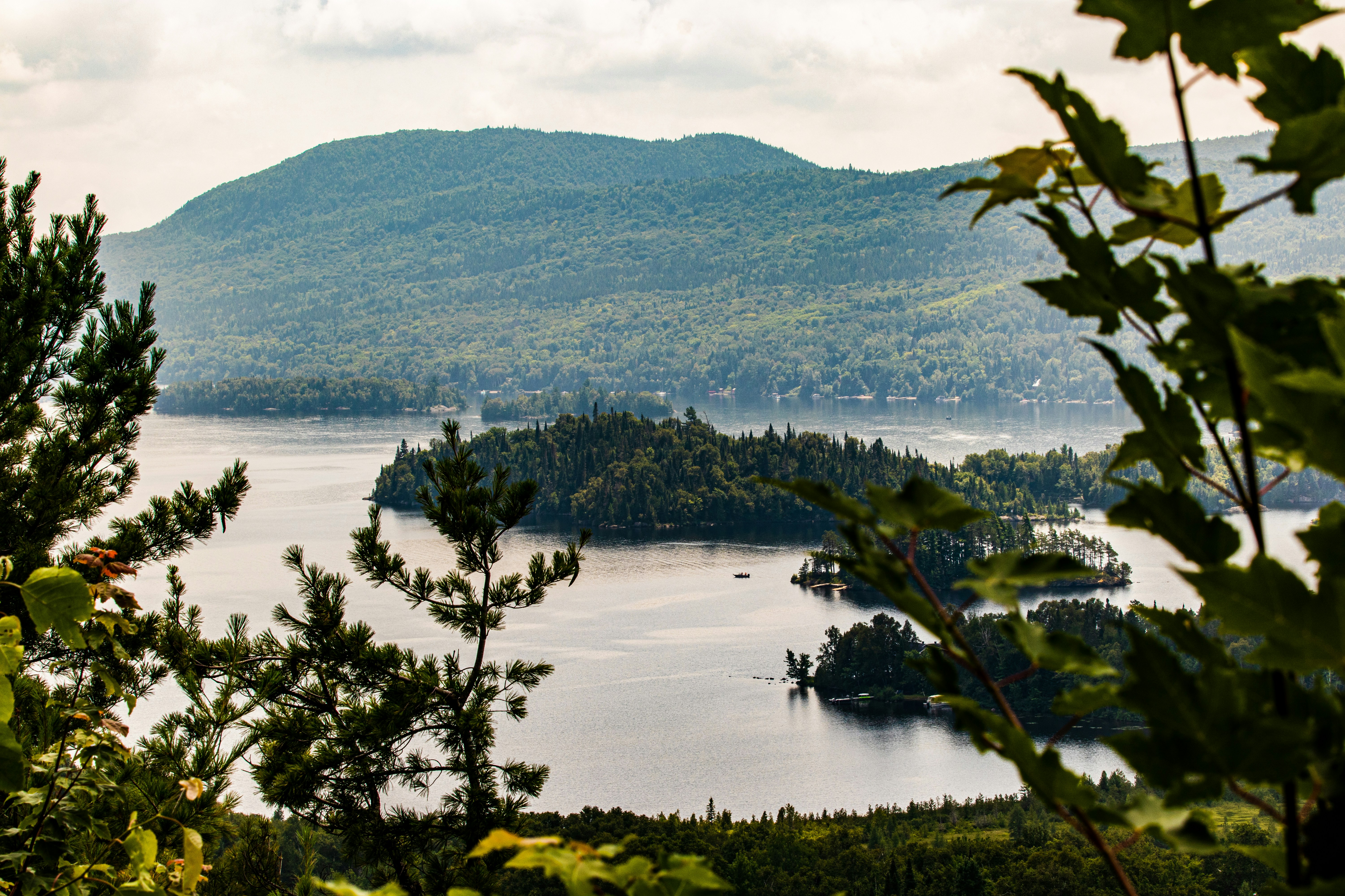 Photo by painchaud12