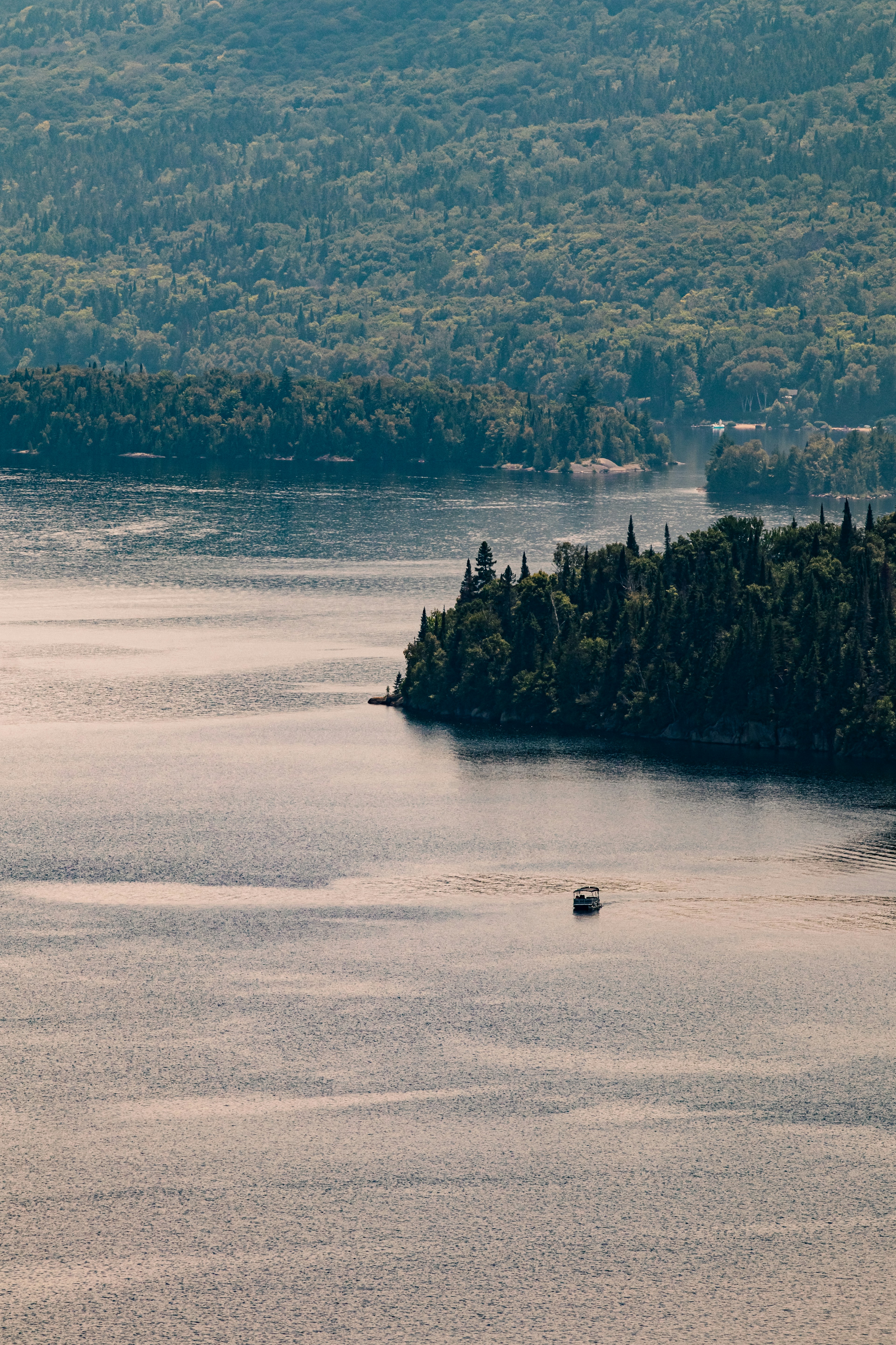 Photo by painchaud12