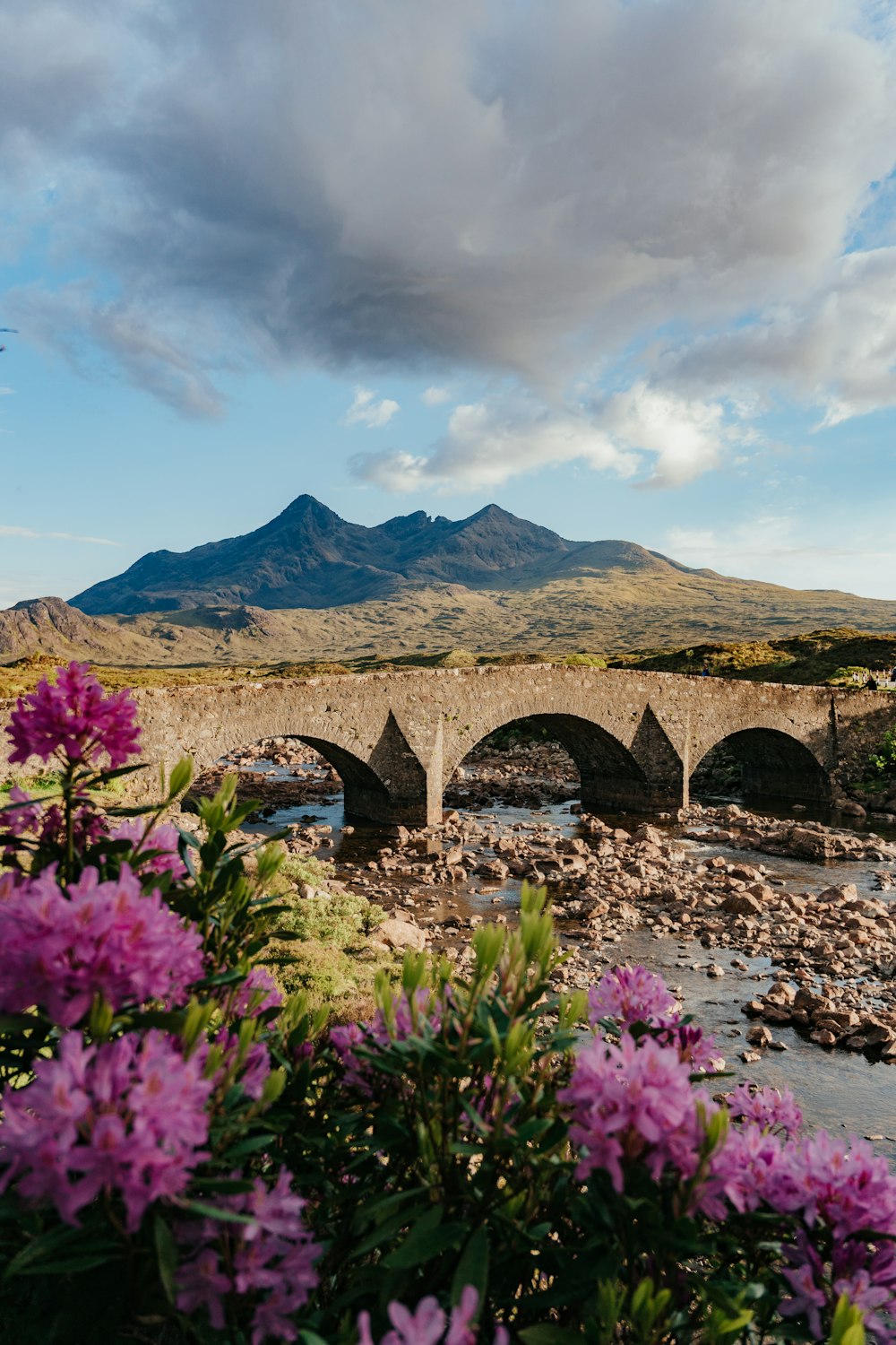 a stone bridge over a river surrounded by purple flowers