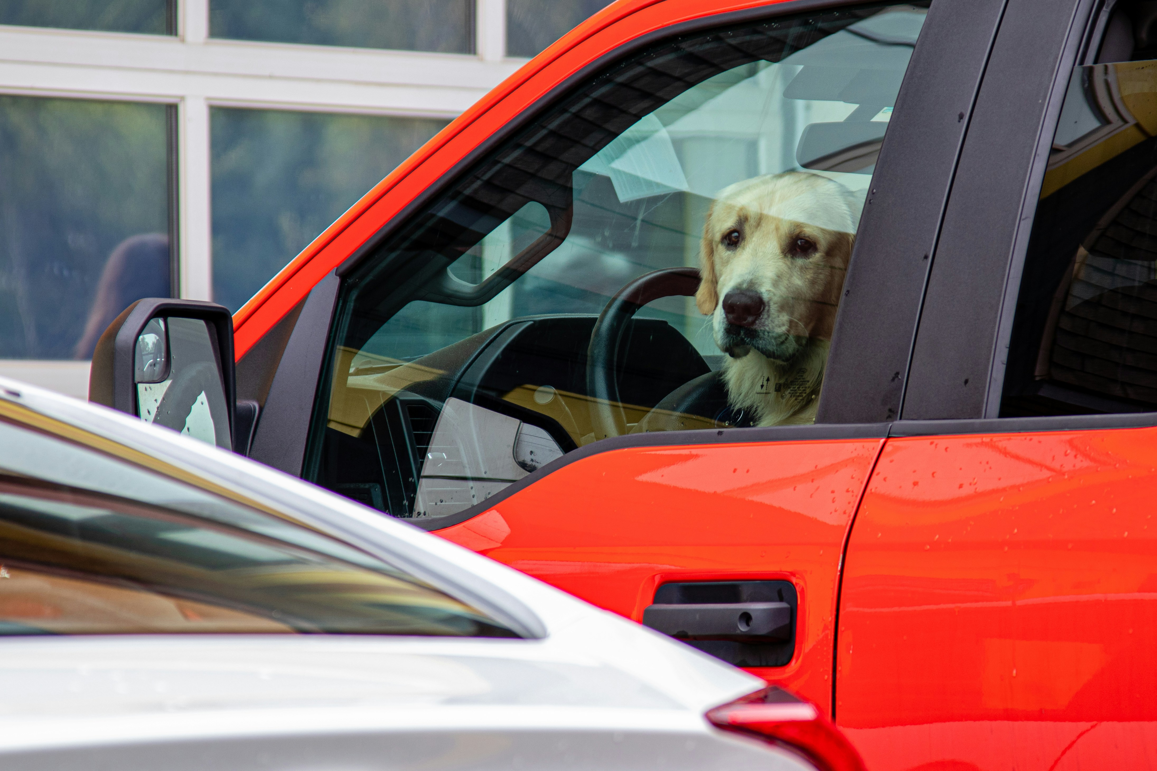 Compra de Autos Usados