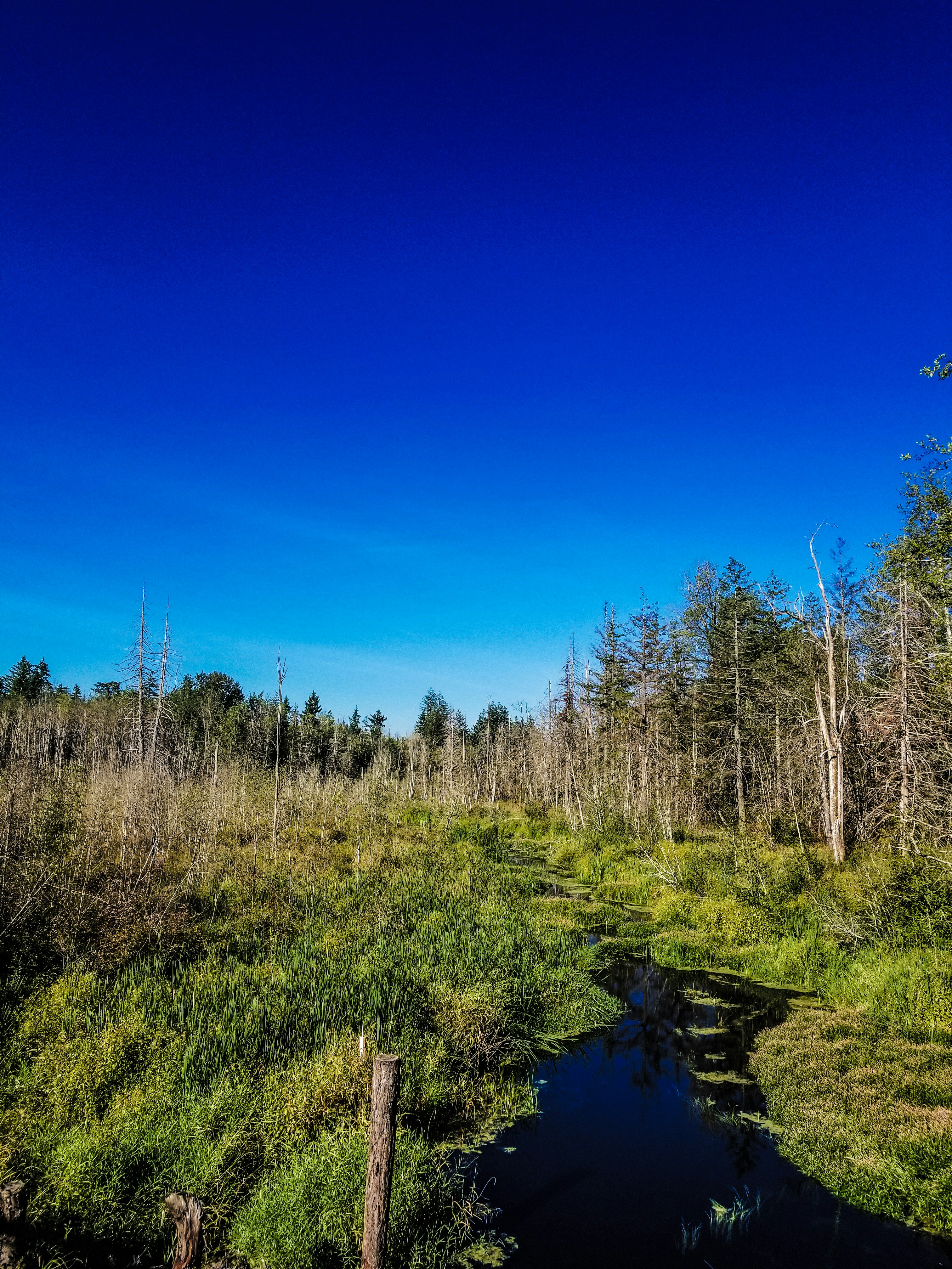 Photo by prphotography262