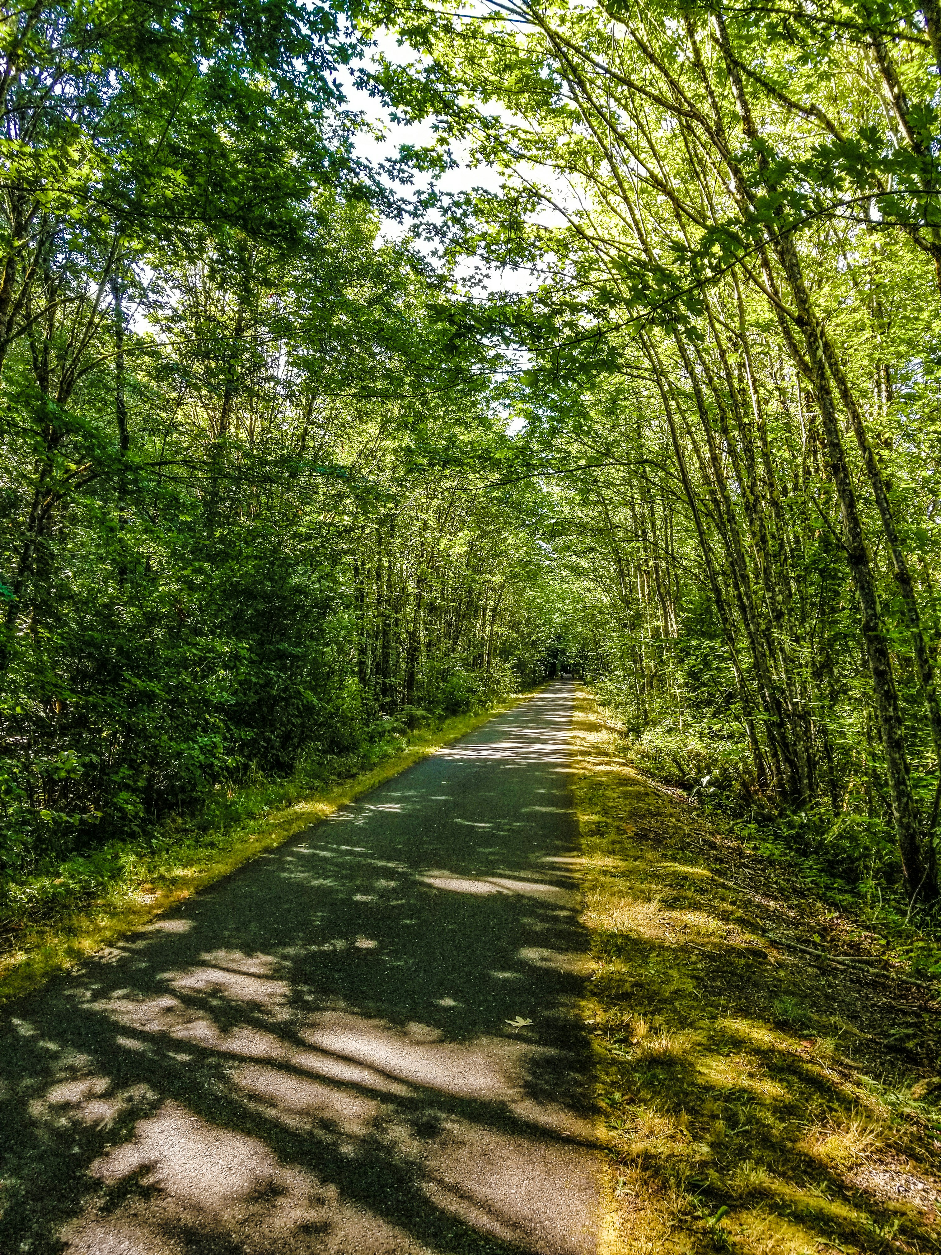 Photo by prphotography262