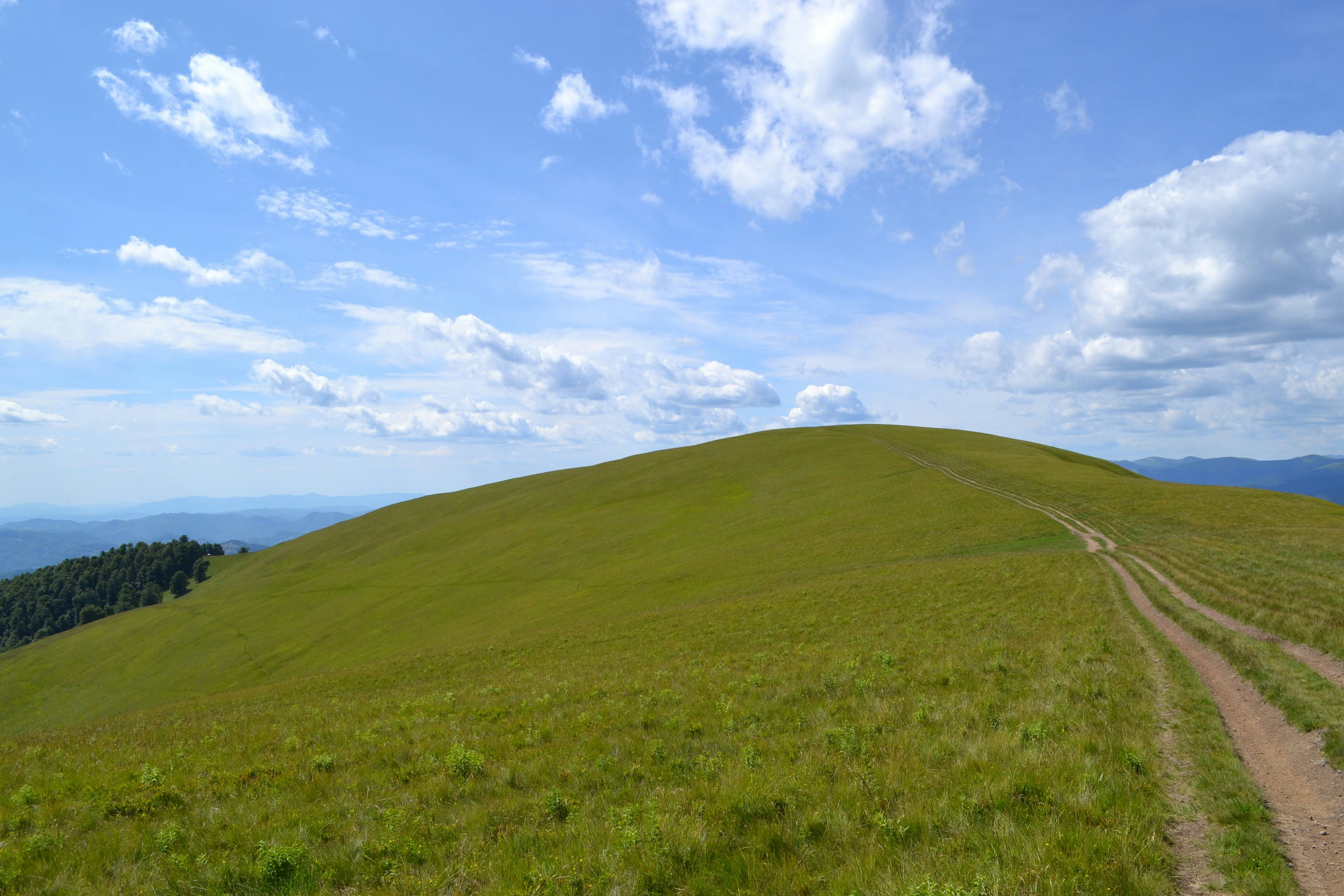 Photo by eugenegrunge