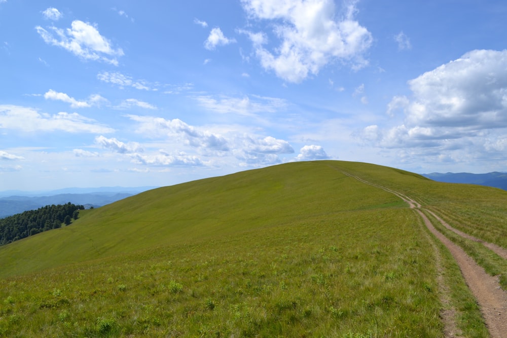 a dirt road going up a grassy hill