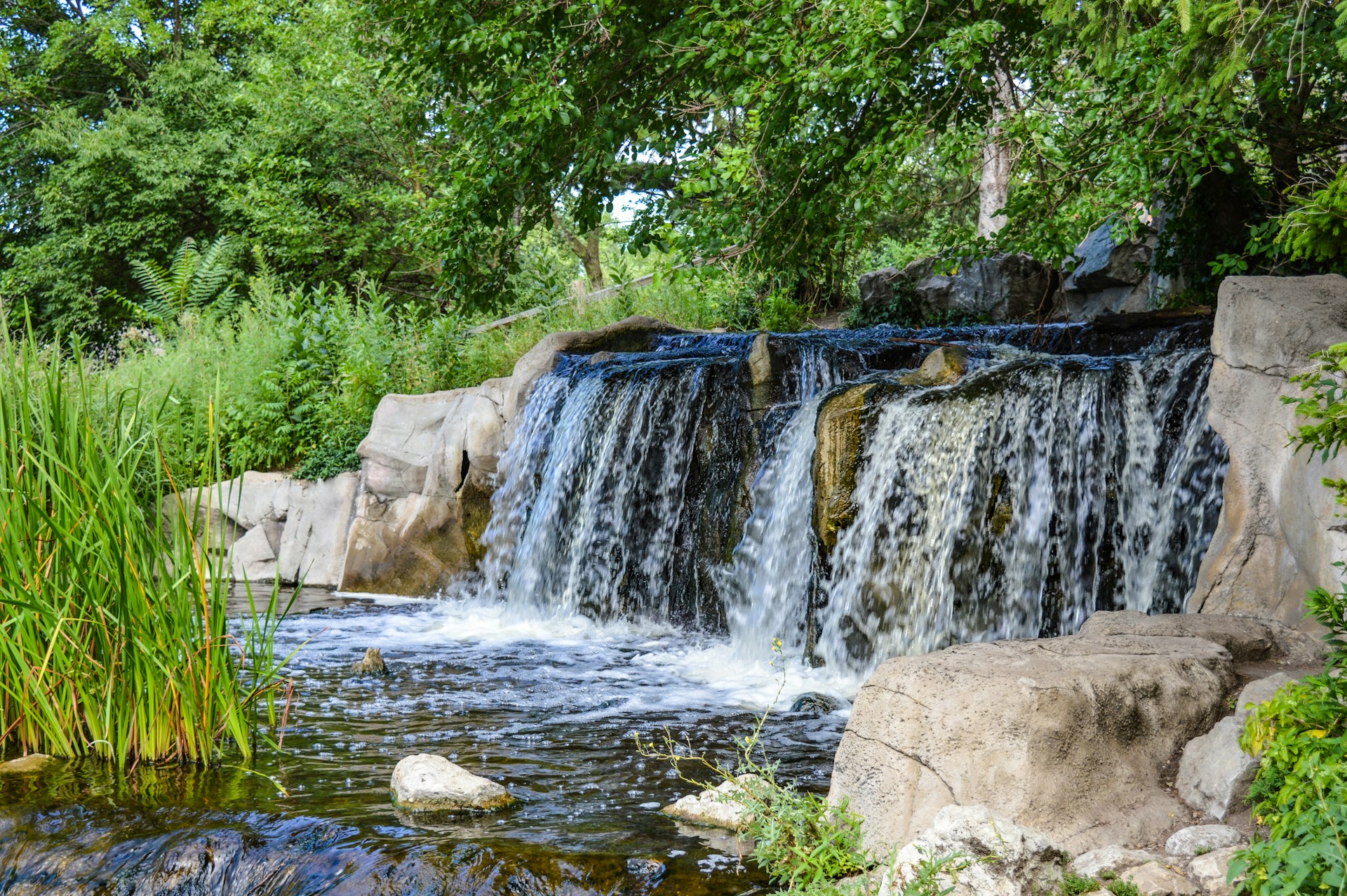 a small waterfall in the middle of a lush green forest