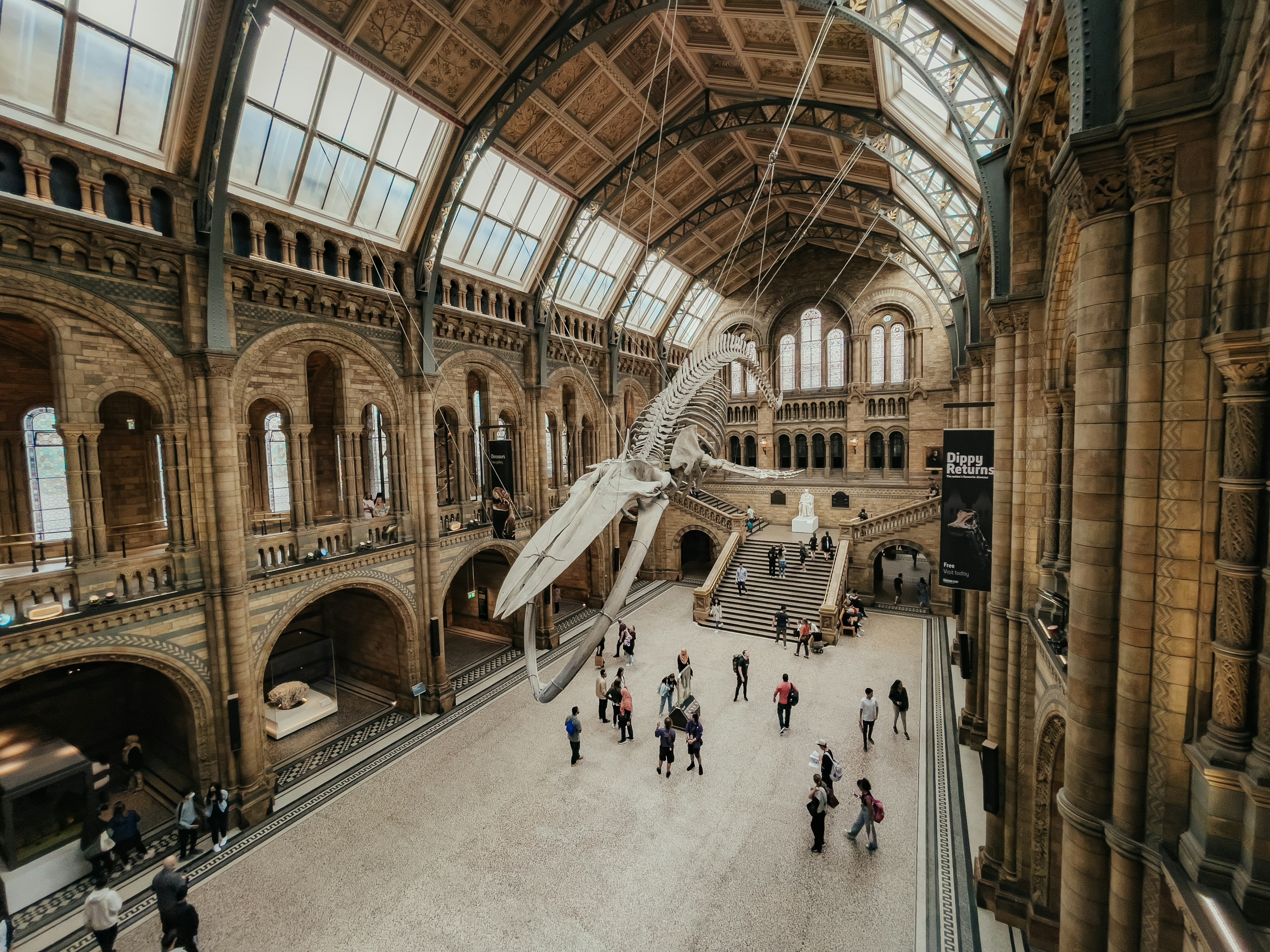 l'interno del national history museum a new york