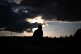 A contemplative figure silhouetted against a vast, moody landscape at sunset.