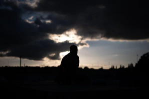 A contemplative figure silhouetted against a vast, moody landscape at sunset.