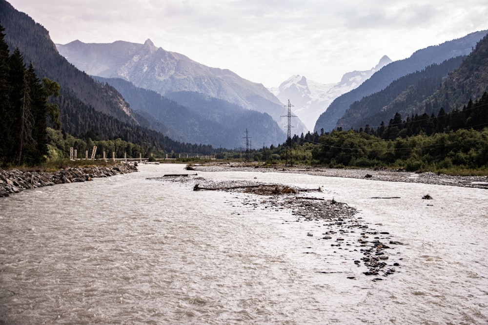 Un río que atraviesa un frondoso bosque verde