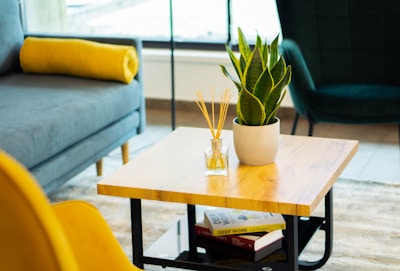 A cozy living room setting features a wooden coffee table with a potted snake plant and a reed diffuser placed on it. There are books underneath the table. The seating area includes a gray sofa with a yellow cylindrical cushion, a yellow chair, and a dark green upholstered chair. Natural light streams in through a large window in the background.