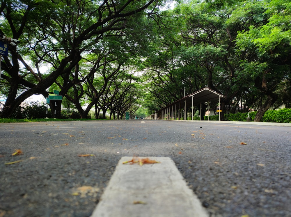 an empty street with trees lining the sides of it