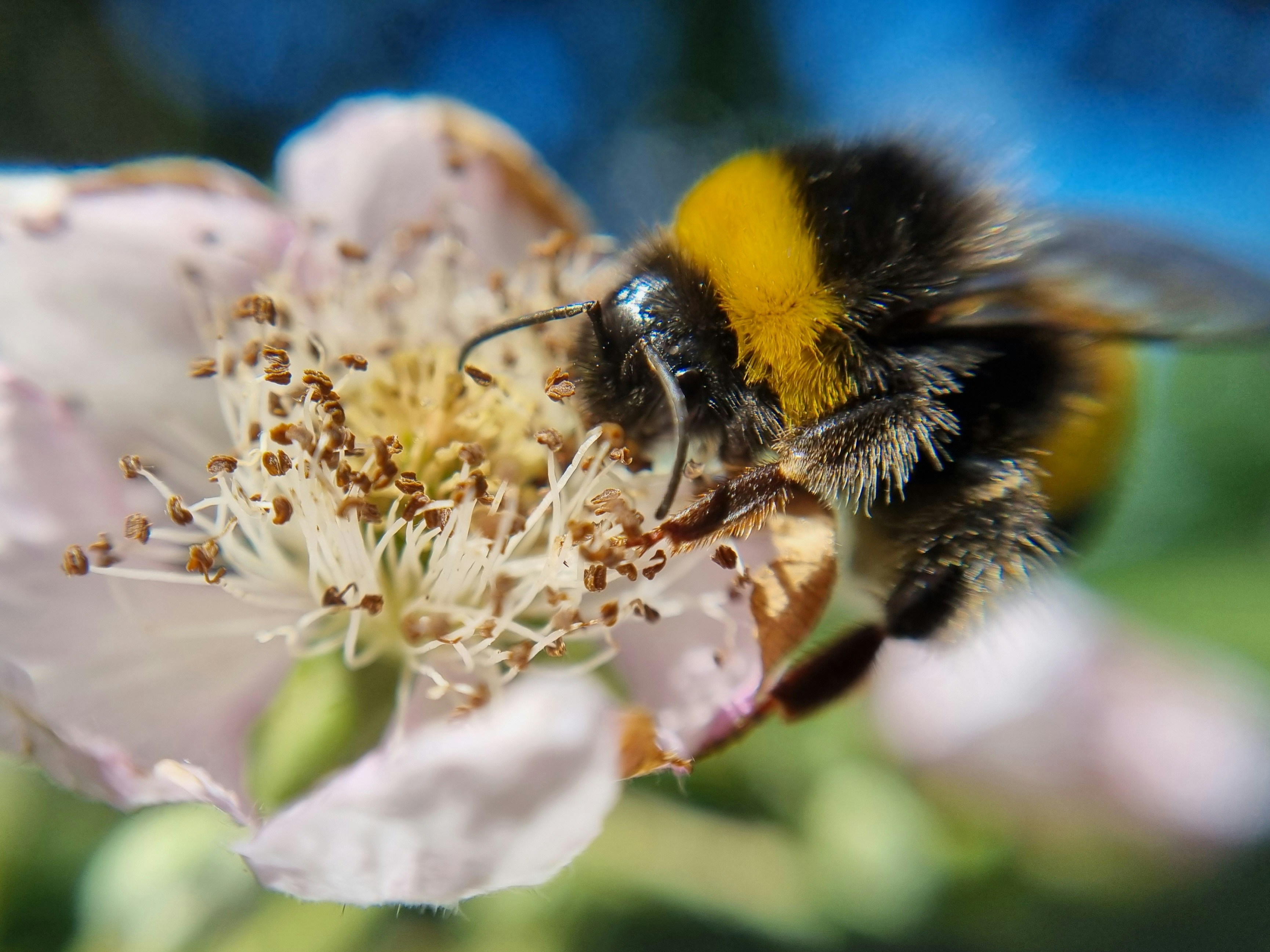 Photo by deibrinkjansen