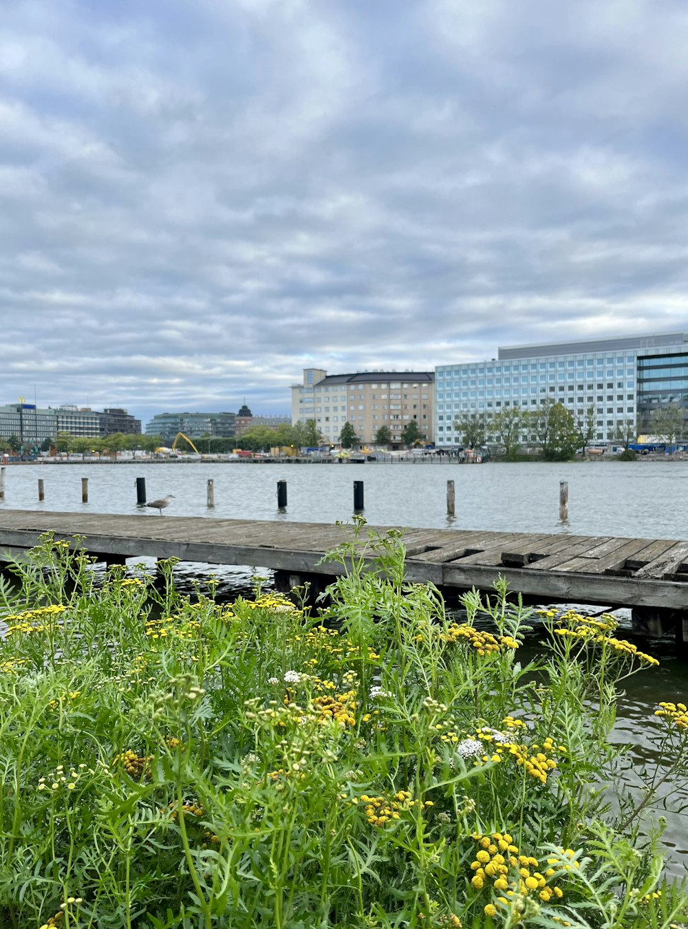 a wooden dock sitting next to a body of water