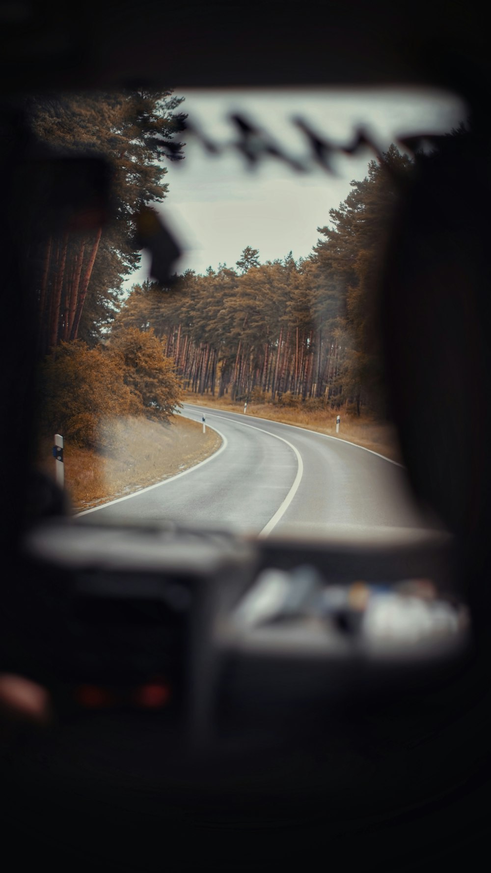 a view from inside a vehicle of a road in the woods